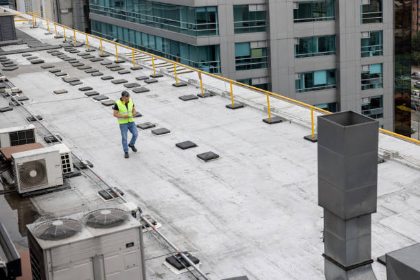 Best Skylight Installation and Repair  in Forks, WA